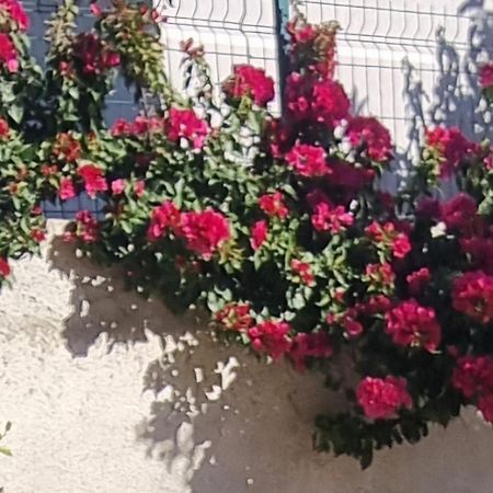 Vila Megi-Rent Room Vlore Exterior photo